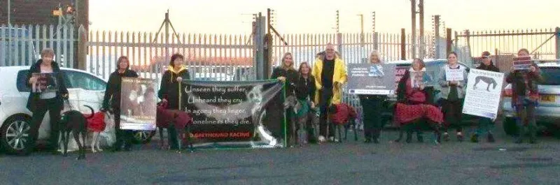 17458392 10210529734833892 5049445575856614475 n