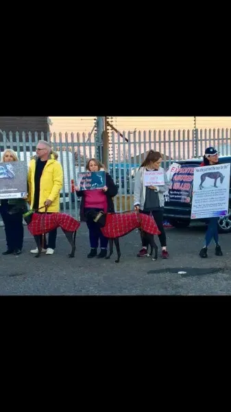 17499028 10210529736033922 6716572996836894941 n