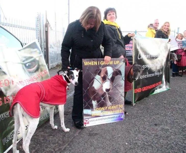 17499356 10210529743674113 2063791881088085287 n