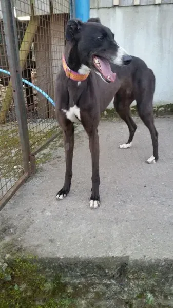 17499991 10212506787814362 2144540434 o