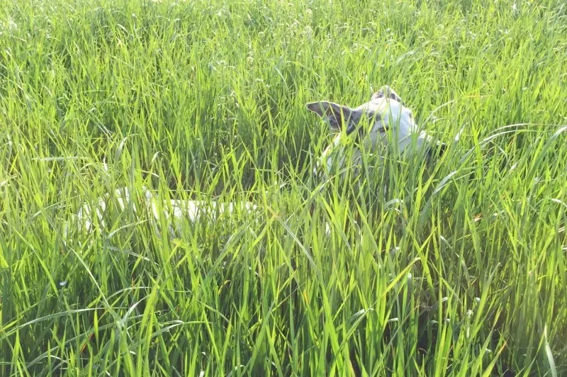 17505008 10211299936287189 6760961157999547155 o