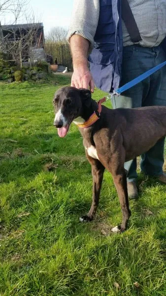 17522003 10212506792334475 1103502242 o