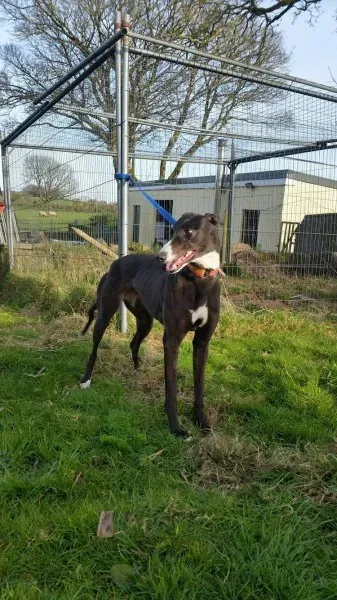 17522412 10212506799294649 667623068 o