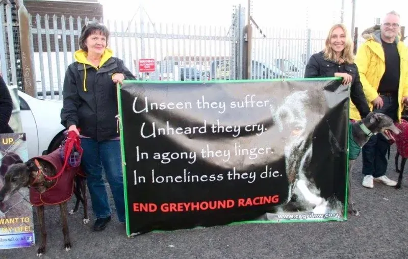 17523437 10210529737073948 7626024894246825239 n