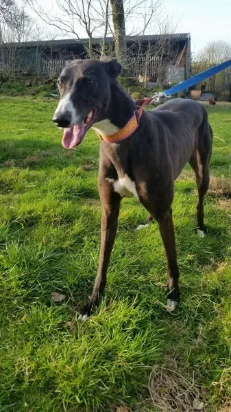 17549025 10212506793574506 2099017695 o