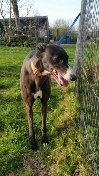 17549118 10212506794374526 934650050 o