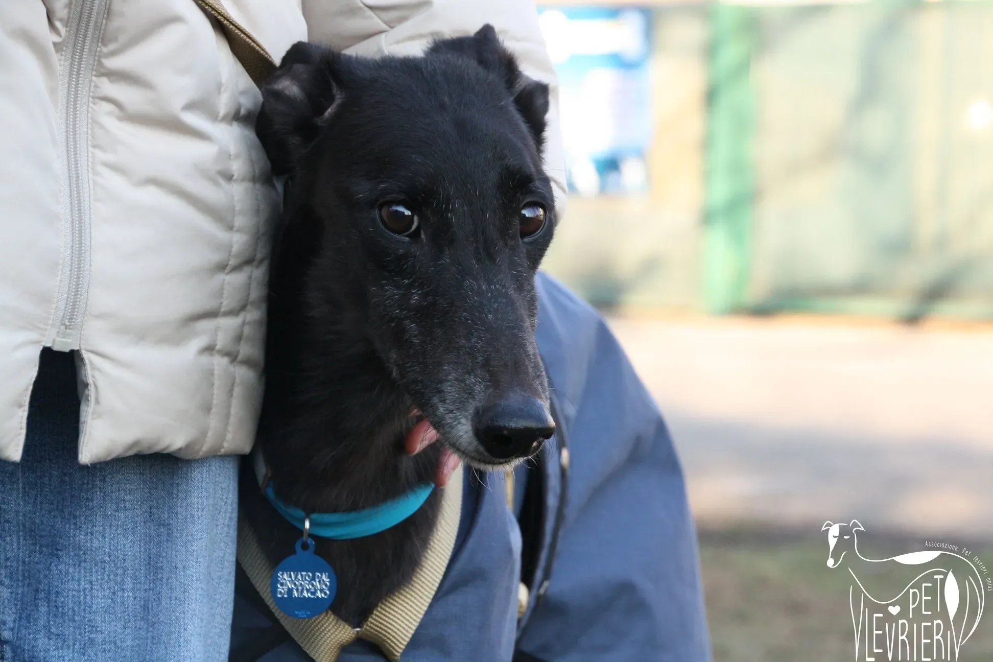 17636CE1 178E 4A90 A1A0 7B6220AE79CA