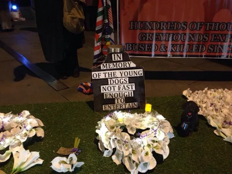 1779359 580598292031778 1080178990 n