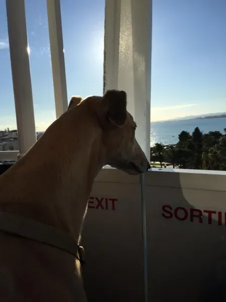 1779685 390262637797122 1918746323922465850 n