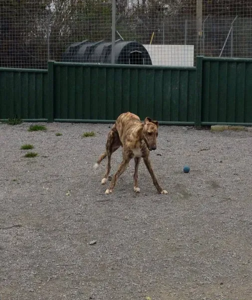 1779891 770572752960426 9140031010123260838 n