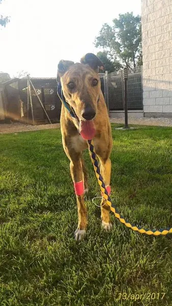 17798991 1348595421898724 3879544186832353824 n