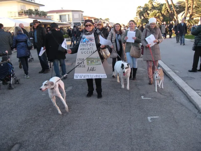 1780037 10201647950697468 1567635681 o