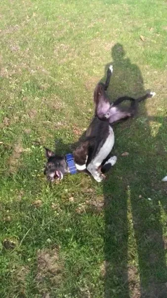 1780661 748870398464350 829552077 n e1394388262481