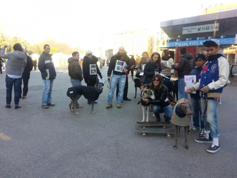 1780745 10201790286291273 932431385 n1