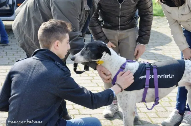 1780821 600992336651292 528175377 n