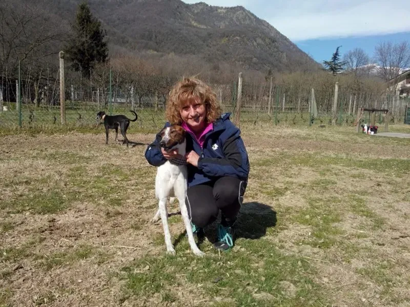 1781919 222398291288294 2051235492 n