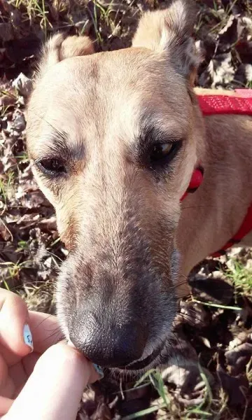 1782106 1028559350494682 6230050976740331703 n