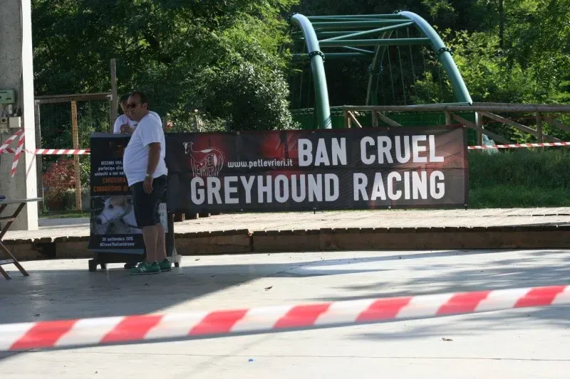 1782316 894537370630119 8492743011367115536 o