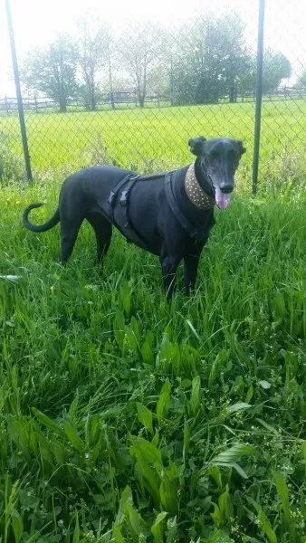 17834943 10212403354469207 5336853361108951944 o