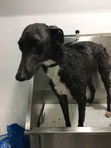 17841691 291420281313624 1574195364 n