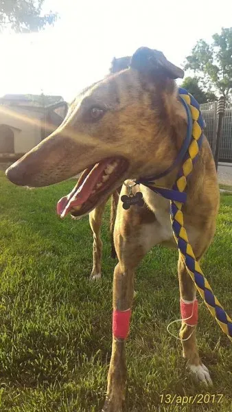 17884534 1348595478565385 715951622346187802 n