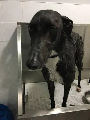 17888799 291420301313622 51454766 n