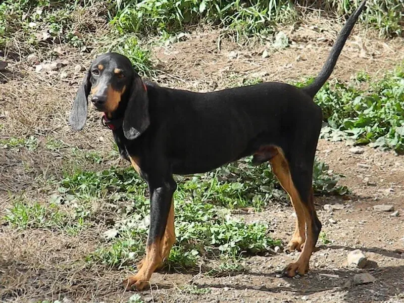 1794544 10203002737931844 1113600367 n