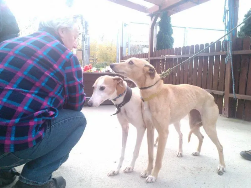 1794734 734752753275249 1761974997379128597 n