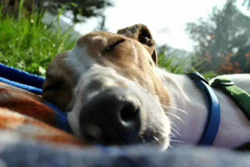 1794818 10202717444128578 418367165 n