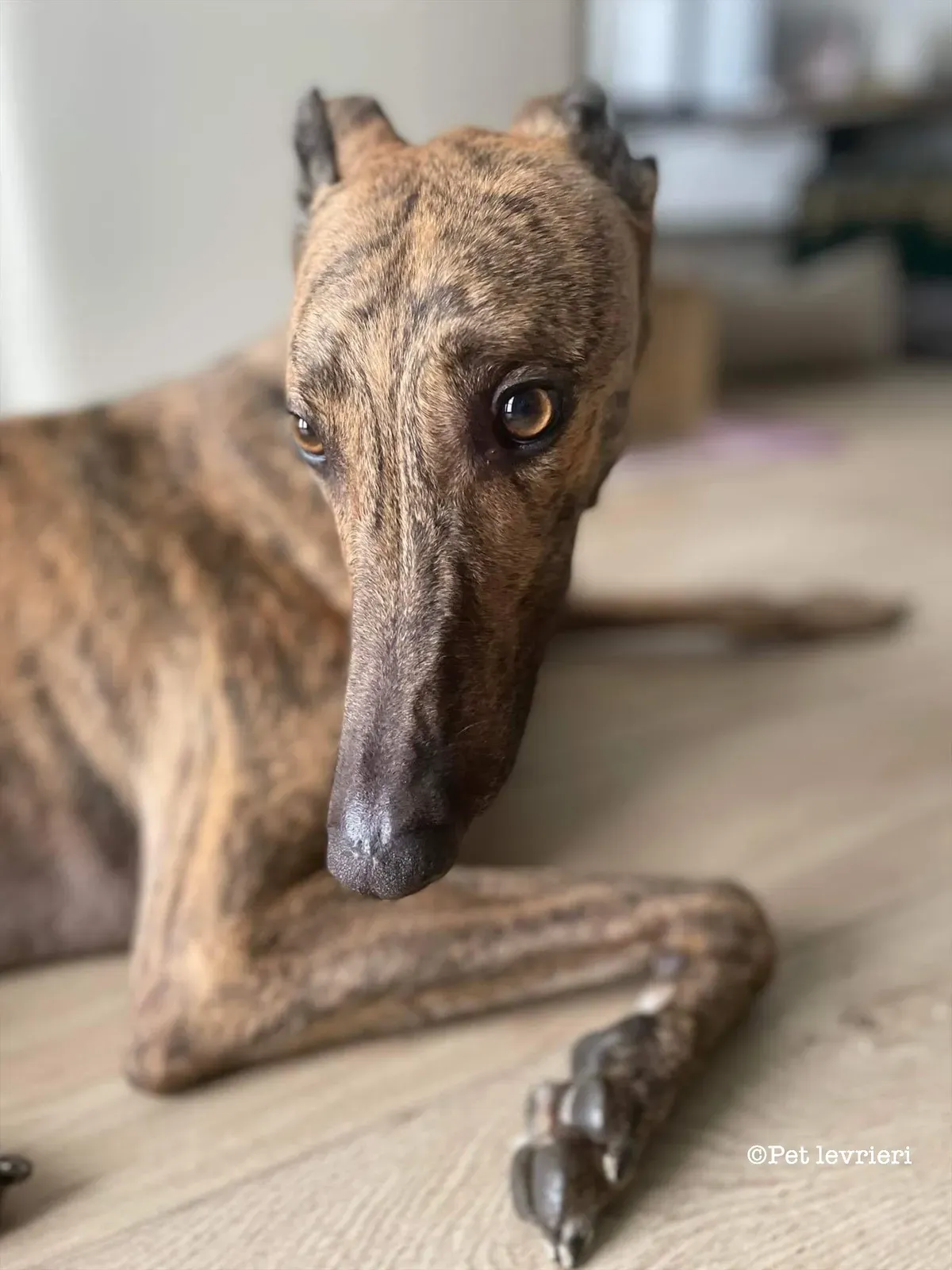 1794DB3D AA07 4C98 9DB3 FC08018E4CE8