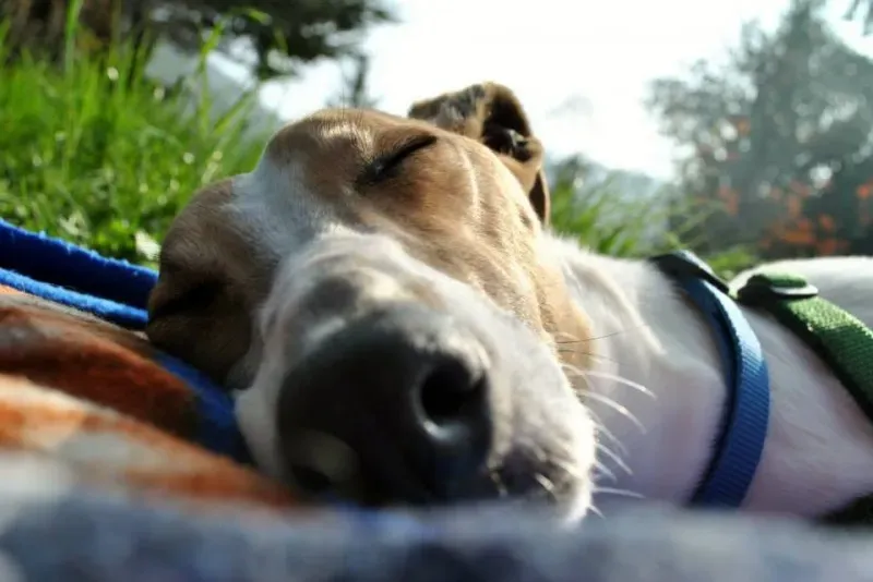 1795692 646146698779839 1315203566 n