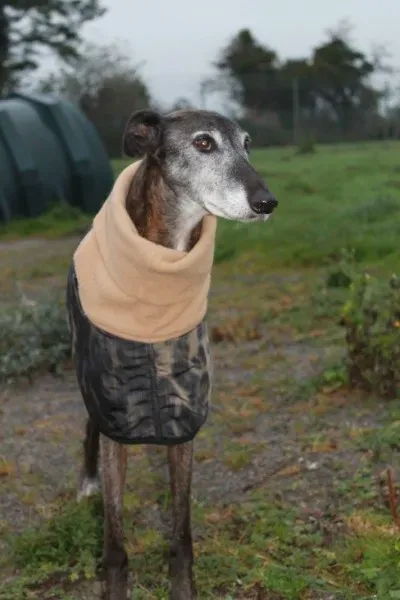 1795983 10152314457395194 5227462663493412336 o1