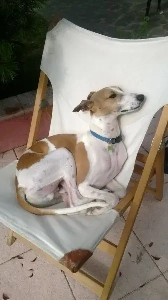 1796498 743608385700336 1128614606494382645 n