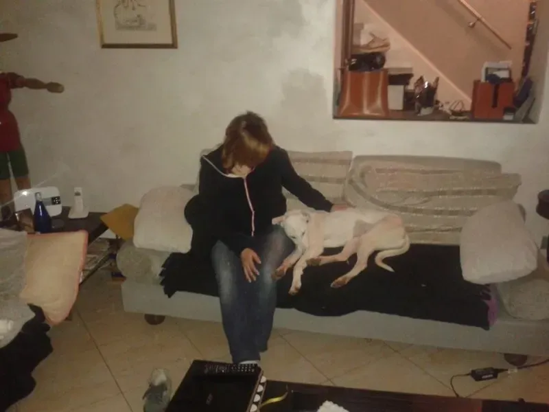 1796539 10202354354754560 849774646 n