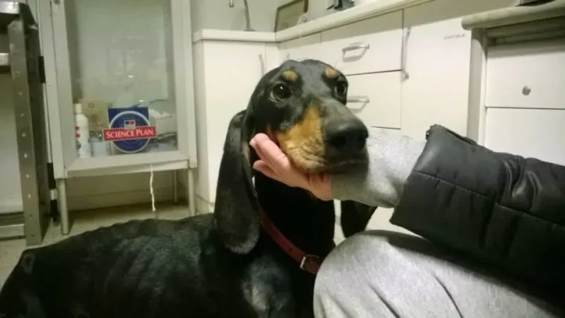 1796648 10202960278230378 1175368156 n