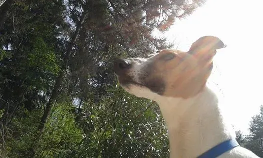 1797474 10202892233658207 5356134935583975826 n