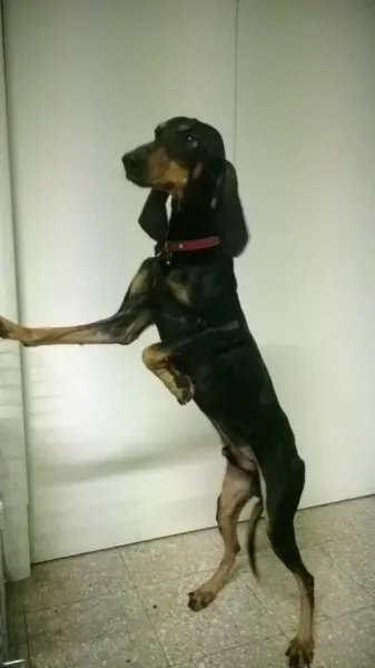 1798495 10202960280590437 2119881800 n