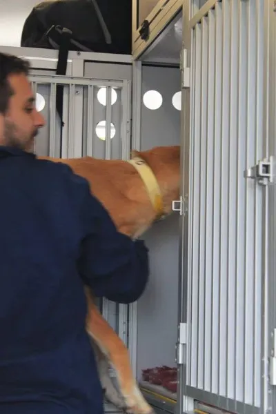 1798564 1014948918522807 5387401296707683908 n