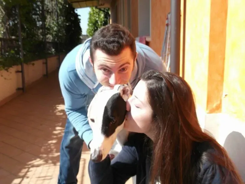 1798771 10200750886174000 1759374779 n