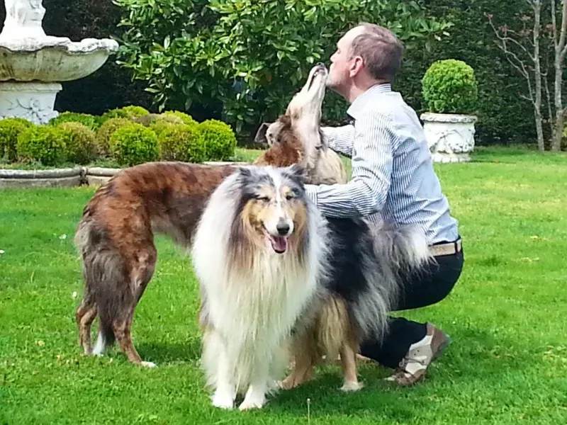 1799115 1517983308458507 554616212984591473 o