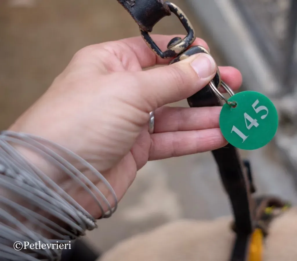 18 DSCF5558 1024x900