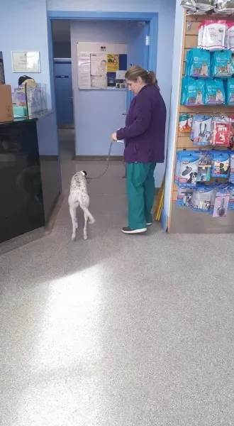 18033398 1649430378407988 2038639274188197370 n