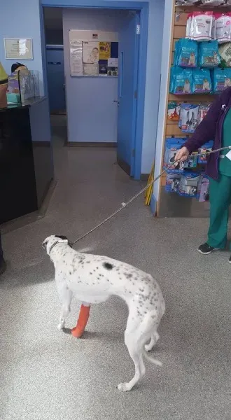 18057697 1649430415074651 8743160406898602162 n