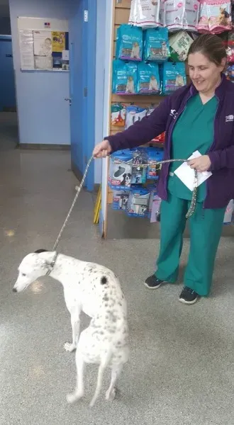 18058226 1649430438407982 230151703136237942 n