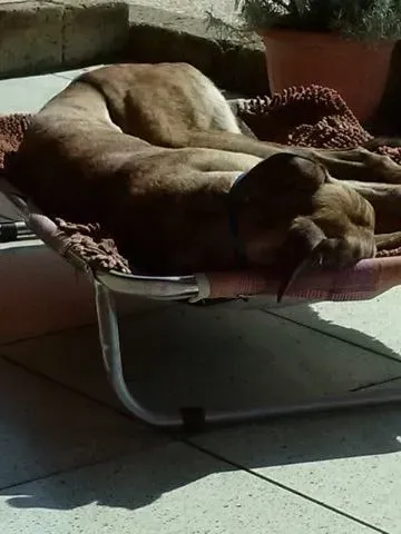 18072861 1358765577548375 931683119 n