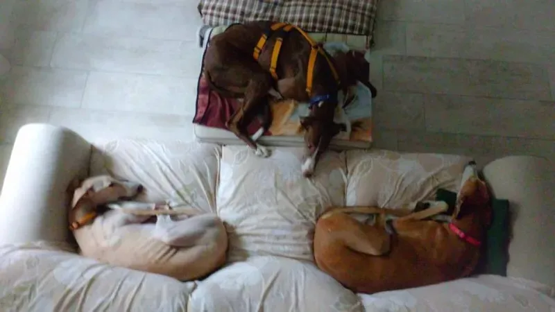 18136180 10210358271925828 654682745 n