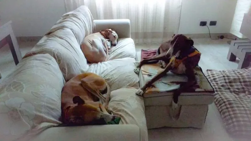 18136942 10210358271885827 1061588300 n