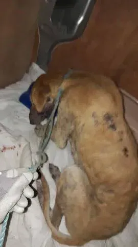 18199054 1661502313867461 1524001170774315974 n