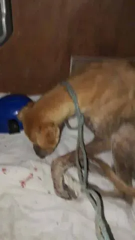 18199305 1661502297200796 8261855902264368470 n