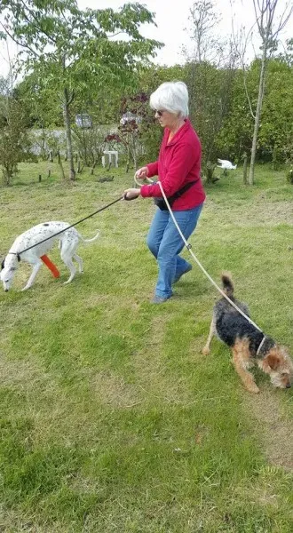 18222153 1656014751082884 2568501819409275139 n